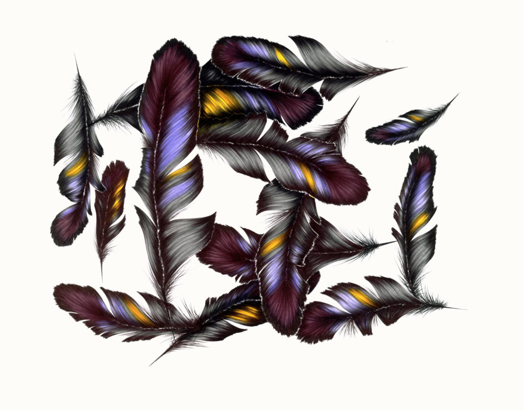 <strong>Purple Feathers #1: For Gifts, Barters, Coercions (2004-2007)</strong><br>
18”Hx22”<br>
Watercolor, Ballpoint On Bristol Plate